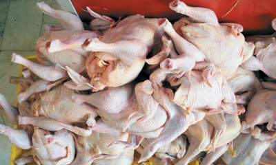 کاهش قیمت مرغ در بازار خرده فروشی+عکس