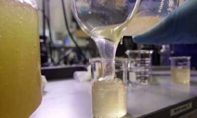 تولید خمیر بندآورنده‌ خونریزی با استفاده از نانو هیدروکسی‌ آپاتیت