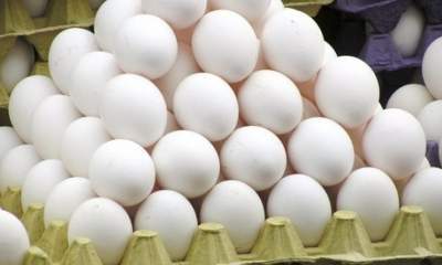 صادرات روزانه ۱۵۰ تن تخم مرغ به بازار‌های هدف