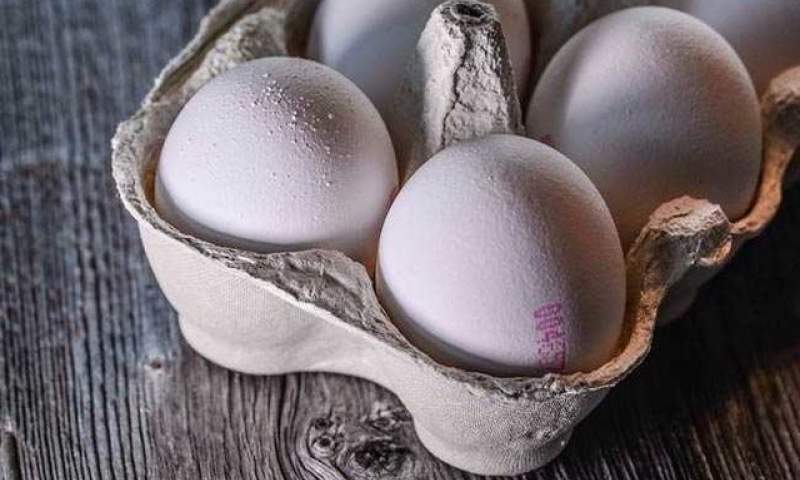 کاهش قیمت تخم مرغ طی یک ماه گذشته