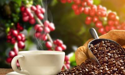 قهوه ایرانی با وجود ایجاد 12 برابر ارزش افزوده دیده نشد!