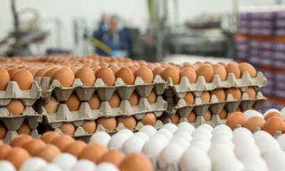 تناقض حرف مسئولان با واقعیت بازار/ تخم مرغ دانه‌ای 2 هزار تومان