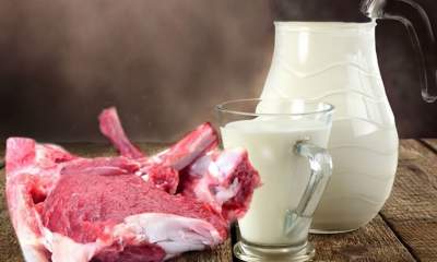 قیمت گوشت گوساله اگربیش ازنرخ بالای ۱۲۰ هزار تومان باشدگرانفروشی است