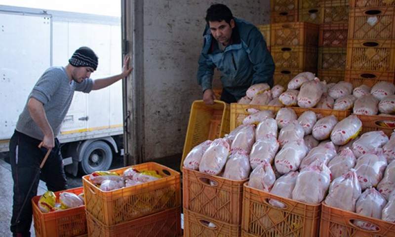 واردات 50 هزار تن گوشت مرغ به گمرک ابلاغ شد