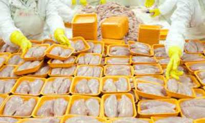 واردات ۱۲۰ هزارتن مرغ به کشور تصویب شد/کاهش قیمت در راه است؟