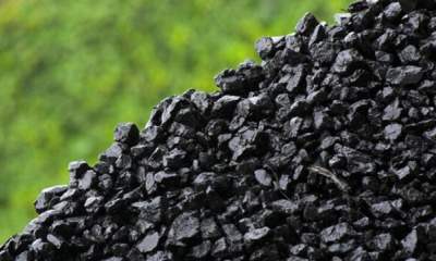 قیمت زغال سنگ رکورد زد