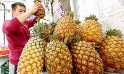 ممنوعیت چین به نفع آناناس تایوان شد
