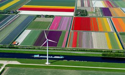 کشاورزی موفق هلند چه رازی دارد؟