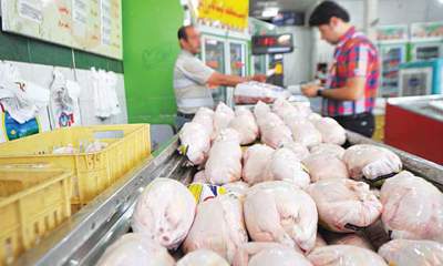 توزیع ۴۰ تن مرغ در پایتخت در روز‌های تعطیل
