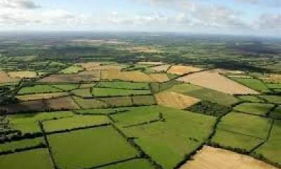 سند دار شدن اراضی کشاورزی تا ۴ سال آینده/ کاهش ۱۸ درصدی تولید برنج در کشور