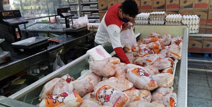 رانت پنهان| 3 سناریوی پیشنهادی به دولت جهت اصلاح ارز 4200 تومانی/ توان صادرات مرغ نادیده گرفته نشود