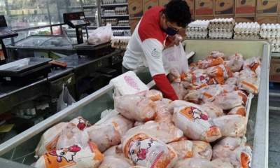 رانت پنهان| 3 سناریوی پیشنهادی به دولت جهت اصلاح ارز 4200 تومانی/ توان صادرات مرغ نادیده گرفته نشود