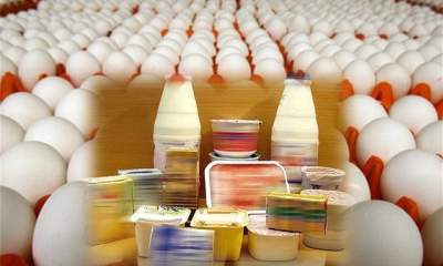 عوارض صادراتی مرغ، تخم‌مرغ، شیرخشک، خامه و چربی برداشته شد