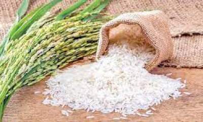 واردات برنج خارجی شبیه طارم به کشور با قیمت کیلویی ۳۵ هزار تومان