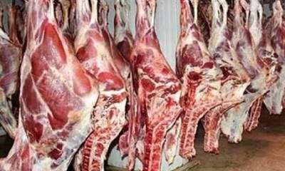 افزایش عرضه گوشت گوساله در میادین/ قیمت‌ها کاهشی می‌شود